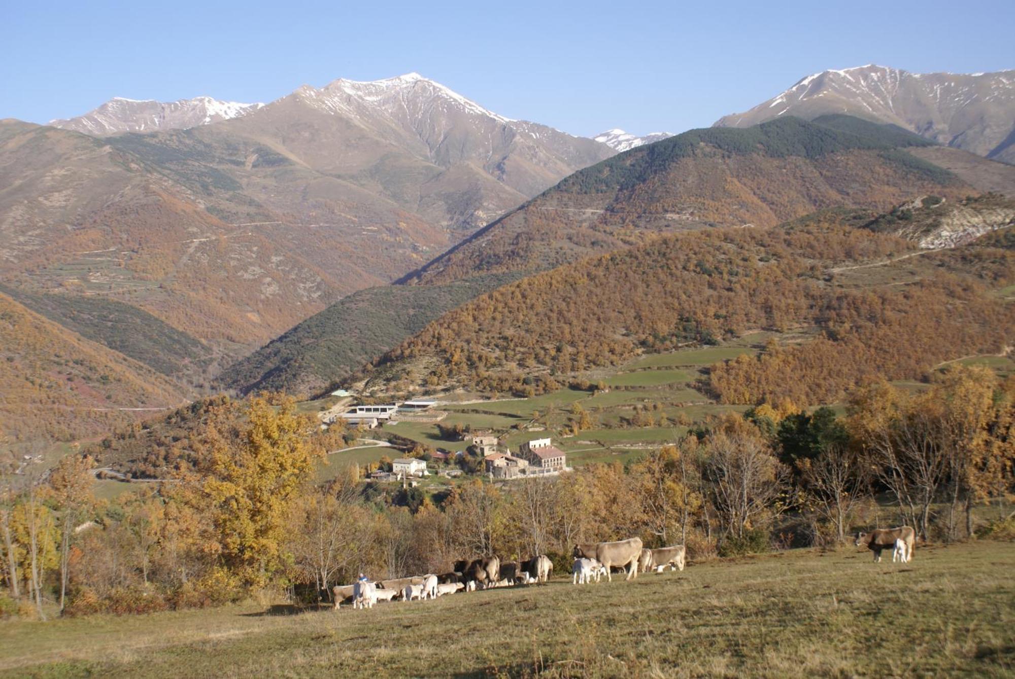 Appartement Casa Masover Buira